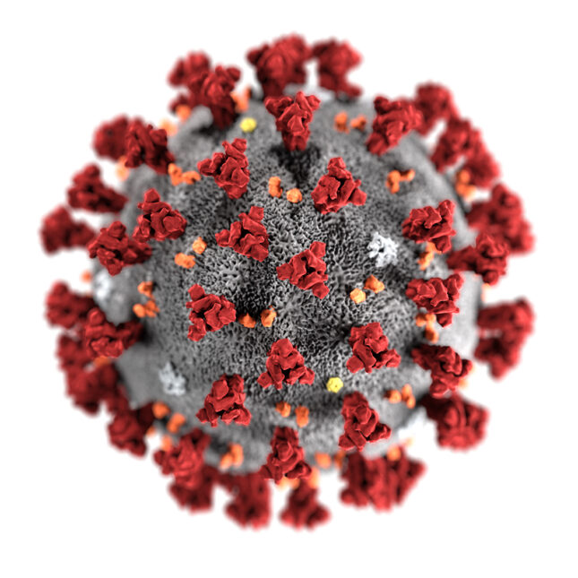 Cellular Automata